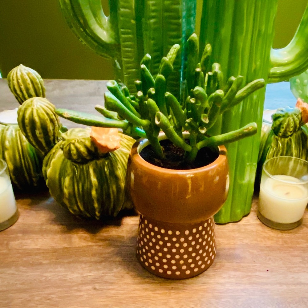 🌿Modern Face Stoneware Planter / Vase Set of 2 - Picture 6 of 13